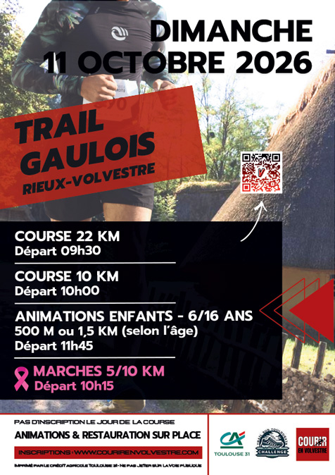 Affiche_Gaulois_26